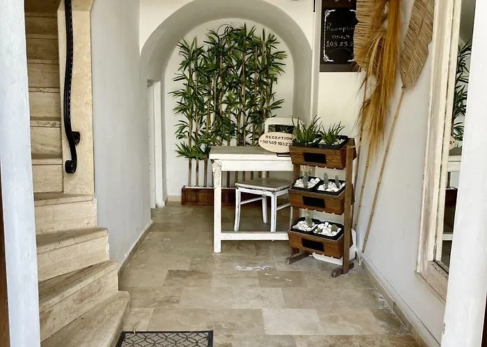 Liman - Adult Only Hotell 3*