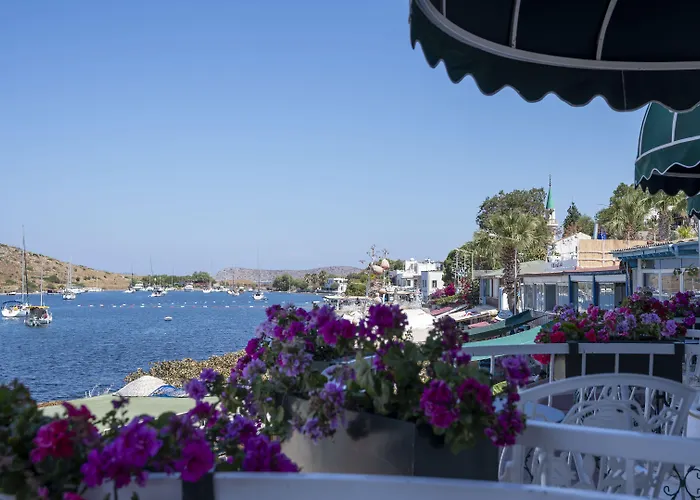 Hotell Liman - Adult Only Gümüşlük